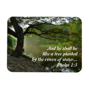 Träd planterad av Vatten, Psalm 1:3, Skriptur Magnet