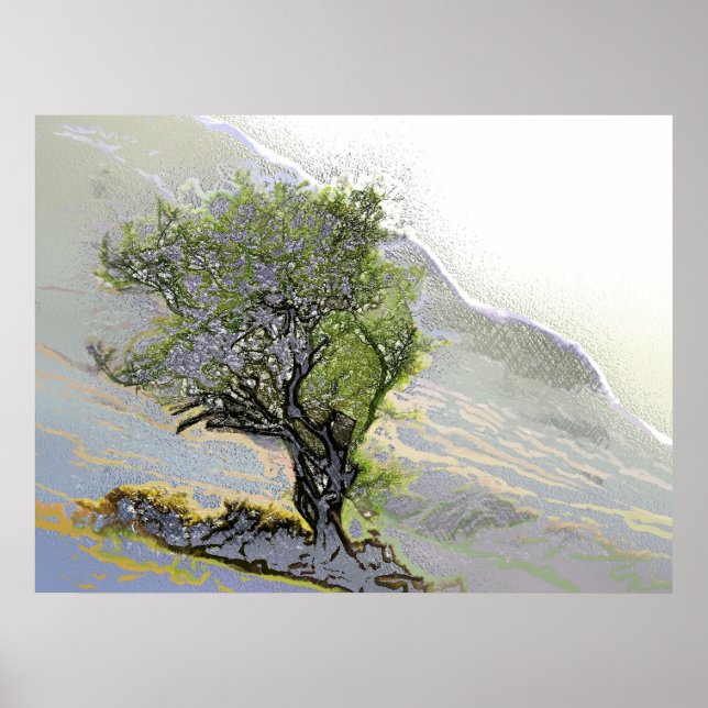 TRÄD POSTER (Framsidan)