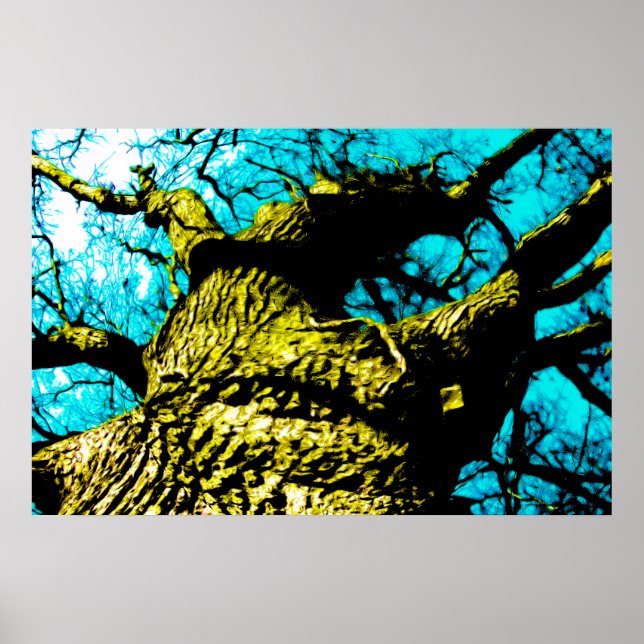 Träd Poster (Framsidan)