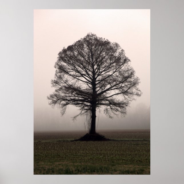 Träd Poster (Framsidan)