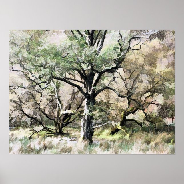 TRÄD POSTER (Framsidan)