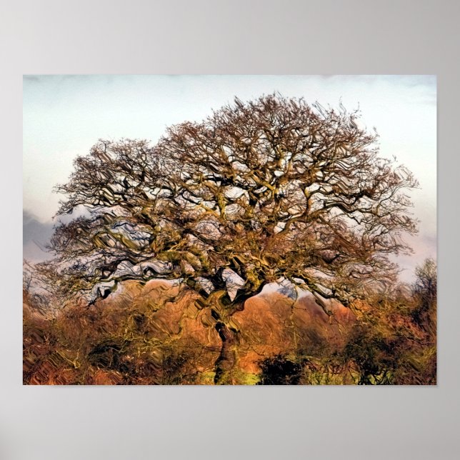 TRÄD POSTER (Framsidan)