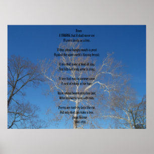 Träd Poster
