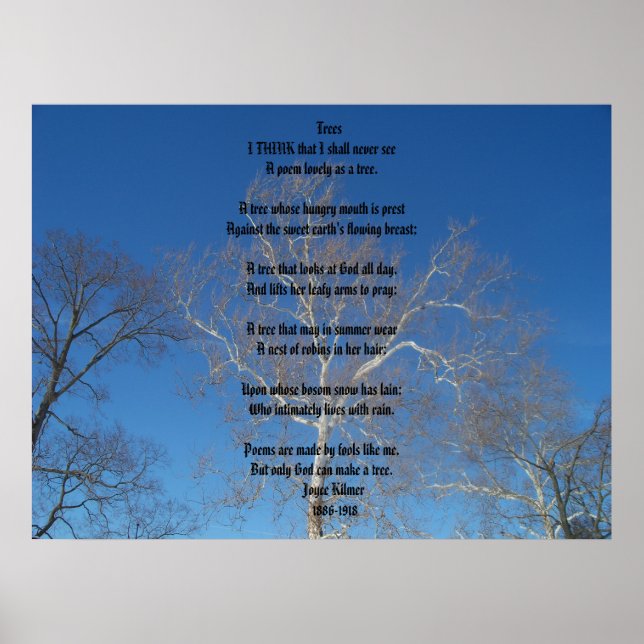 Träd Poster (Framsidan)