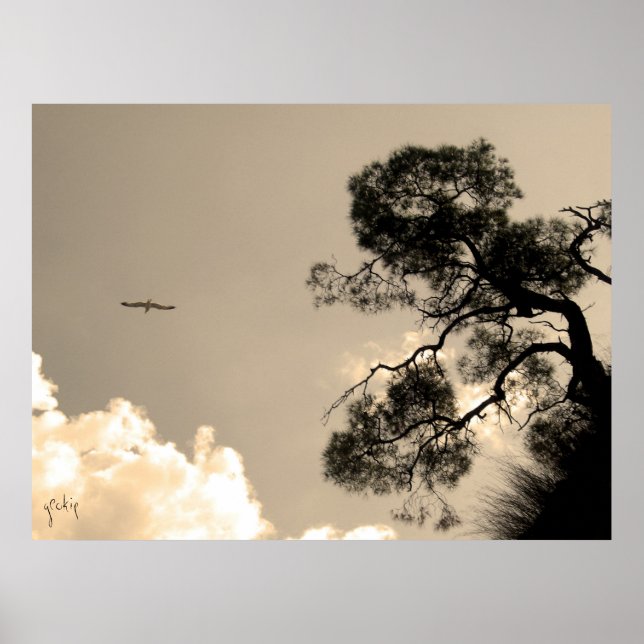 träd poster (Framsidan)