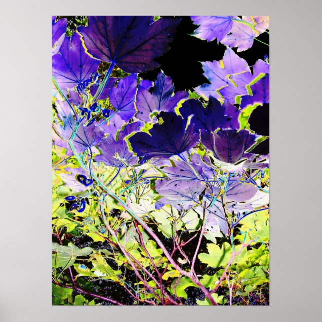 TRÄD POSTER (Framsidan)