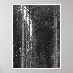 Träd Poster