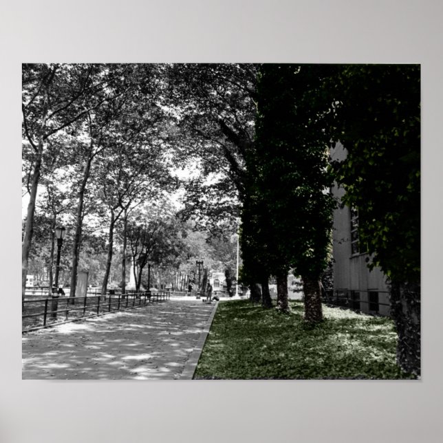 Träd Poster (Framsidan)