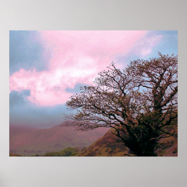 TRÄD POSTER (Framsidan)