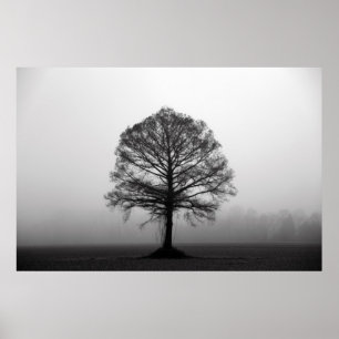 Träd Poster