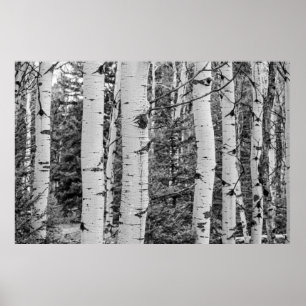 träd poster