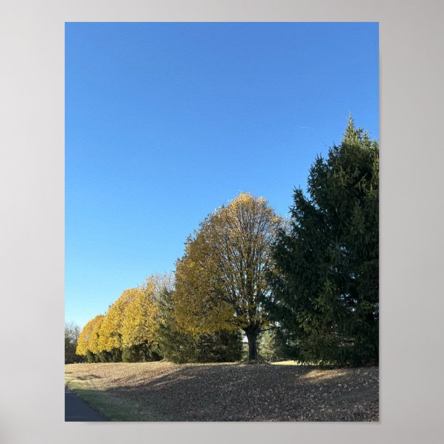 Träd Poster rad (Framsidan)