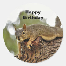 Träd Reclining Squirrel Birthday