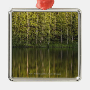 Träd reflekterade i vatten julgransprydnad metall