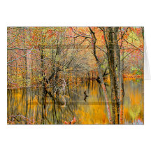 Träd-reflektioner/vatten WETLANDS-SAMLING - blank