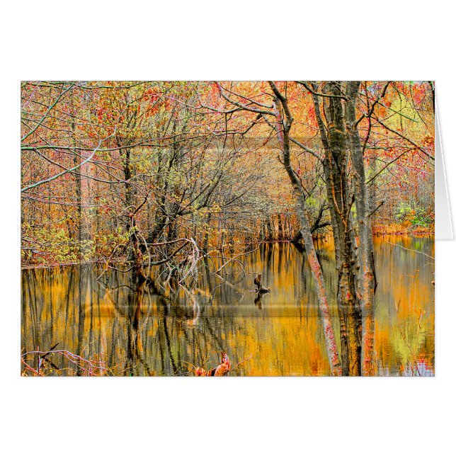 Träd-reflektioner/vatten WETLANDS-SAMLING - blank Hälsningskort (Framsidan Horizontal)