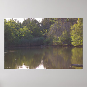 Träd reflektioner, vattenbild, Poster foto