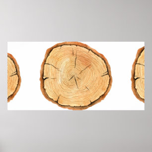 Träd ringar. Vattenfärgillustration, hand plockade Poster