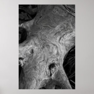 Träd Root Poster