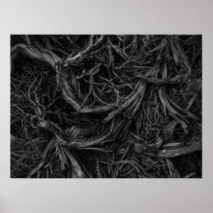 Träd Roots Poster