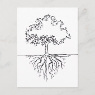 Träd Roots Vykort