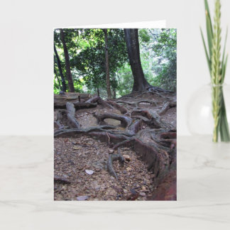 Träd rotar på Mt. Kurama Kort