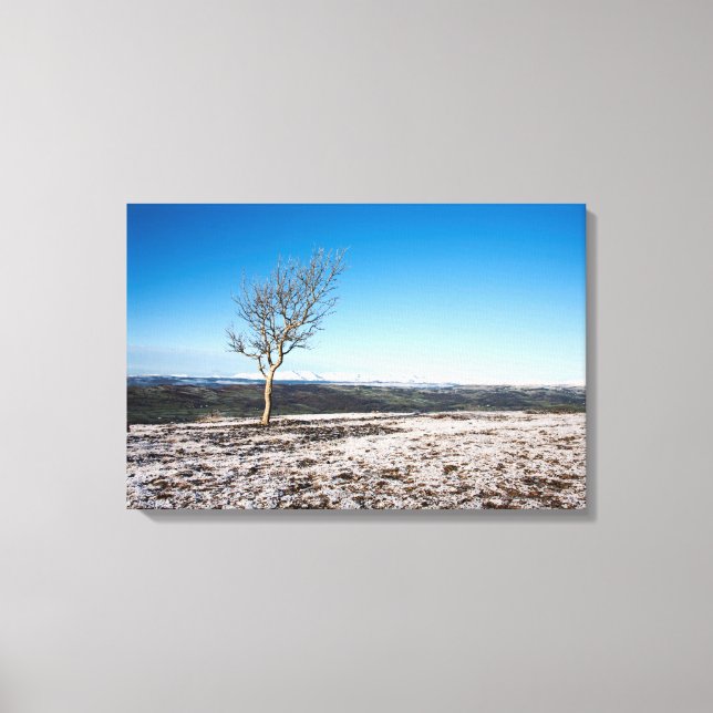 Träd Scout Scar Gamla mannen av Konistons bakgrund Canvastryck (Framsida)