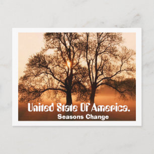 Träd, Seasons Change, Förenade staten Ameica. Vykort