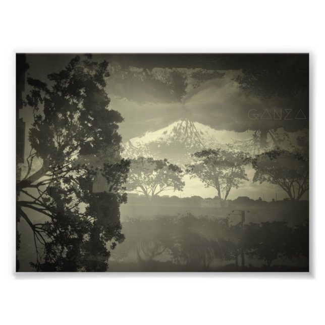 Träd ser jag. fototryck (Framsidan)