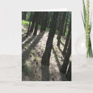 Träd Shadow Forest Kort