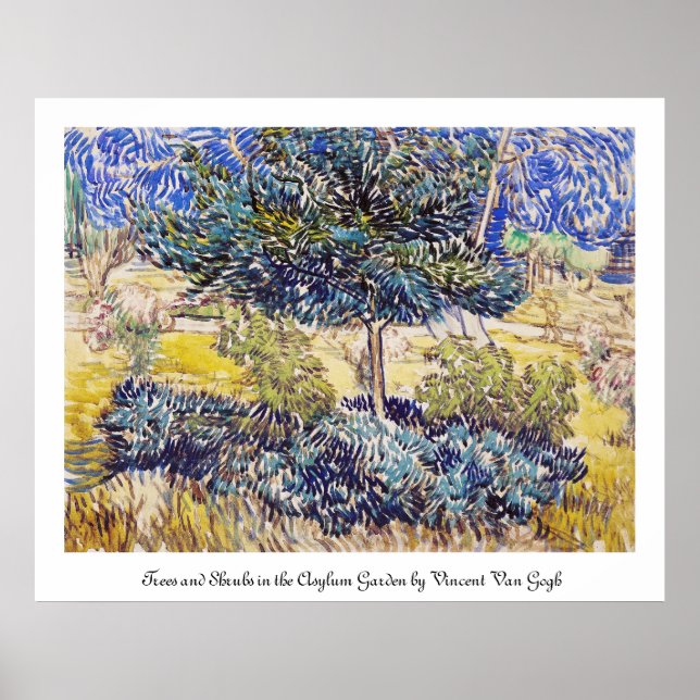Träd Shrubs Asylum Garden Vincent Van Gogh Poster (Framsidan)