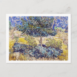 Träd Shrubs Asylum Garden Vincent Van Gogh Vykort