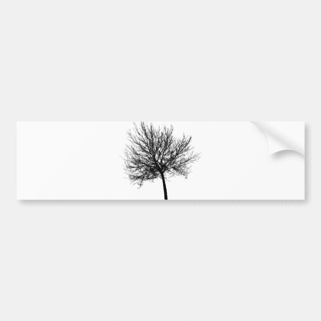 Träd Silhouette Bildekal (Framsidan)