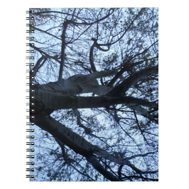 Träd Silhouette-fotodator Anteckningsbok (Framsidan)