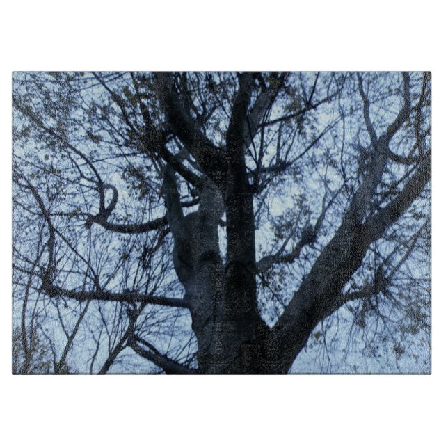 Träd Silhouette-fotosättarpanel (Framsidan)