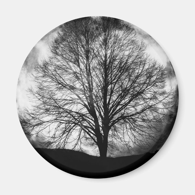 Träd Silhouette framför en fullmoon Magnet (Framsidan)