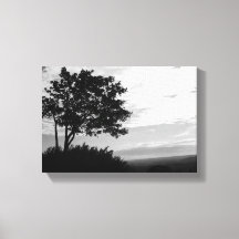 Träd Silhouette i Black and White