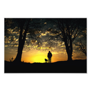 Träd Silhouette of Man and Hund at Sunset Fototryck