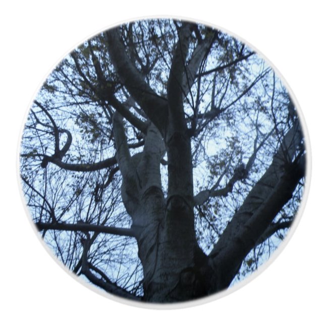 Träd Silhouette Photograph Ceramic Knob Knopp (Framsidan)