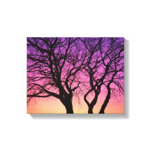 Träd Silhouettes in Sunset - Kanvastrycket