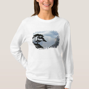 Träd silhuett vid soluppgång, Gula berget, Tee Shirt
