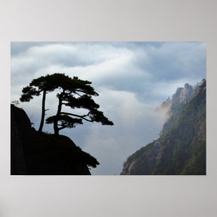 Träd silhuetterat vid soluppgång, Gult Mountain Poster