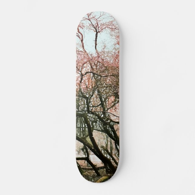 TRÄD SKATEBOARD BRÄDA 19,5 CM (Framsida)