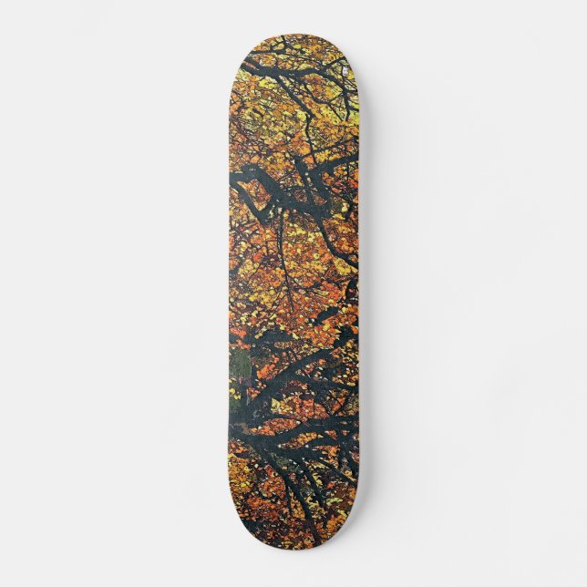 TRÄD SKATEBOARD BRÄDA 21,5 CM (Framsida)