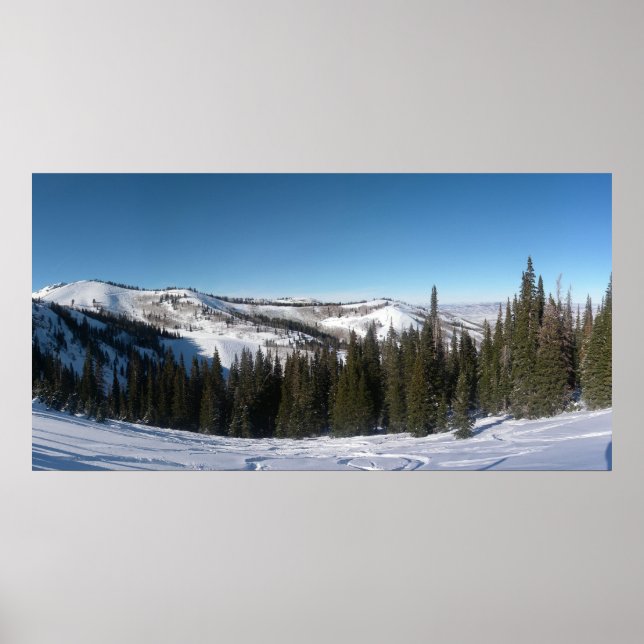 Träd Skiing Poster (Framsidan)