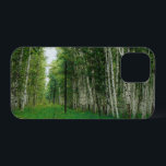 Träd-skogen vid Fågel<br><div class="desc">2025</div>