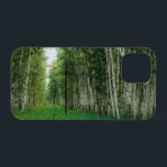 Träd-skogen vid Fågel<br><div class="desc">2025</div>