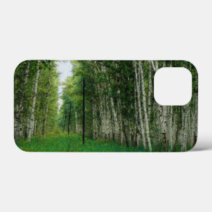 Träd-skogen vid Fågel