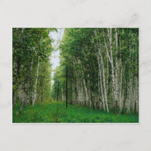 Träd-skogen vid Fågel Vykort