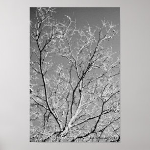 Träd Snöre av E.A. Schneider Poster